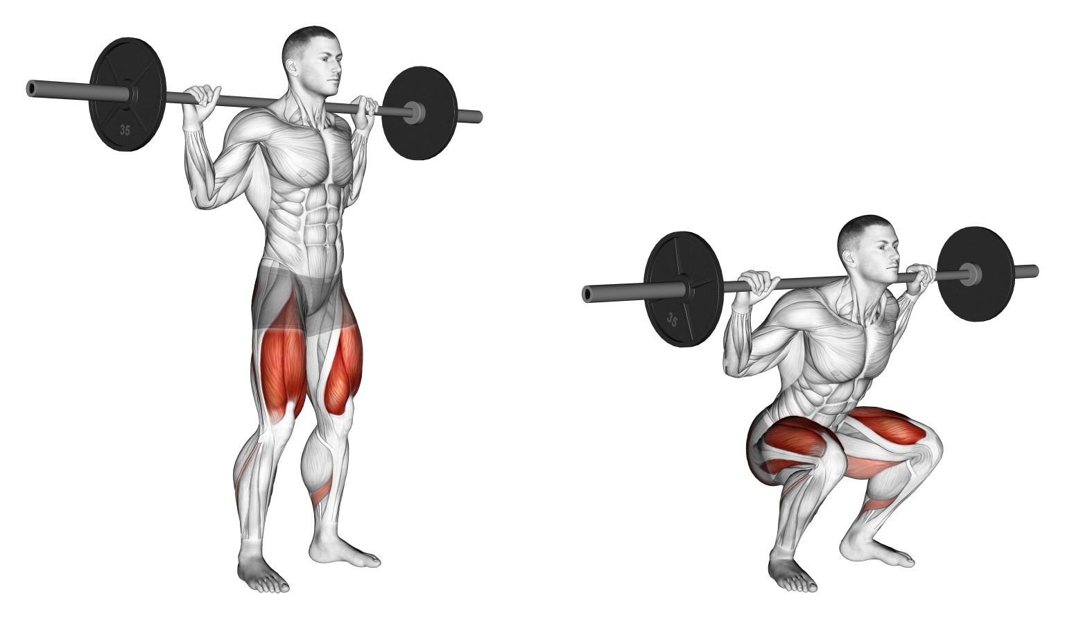 high-bar-squat-1536x893.png